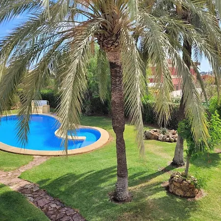 Oasis *